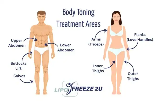 Graphic showing where you can have Body toning Treatment Croydon on your body